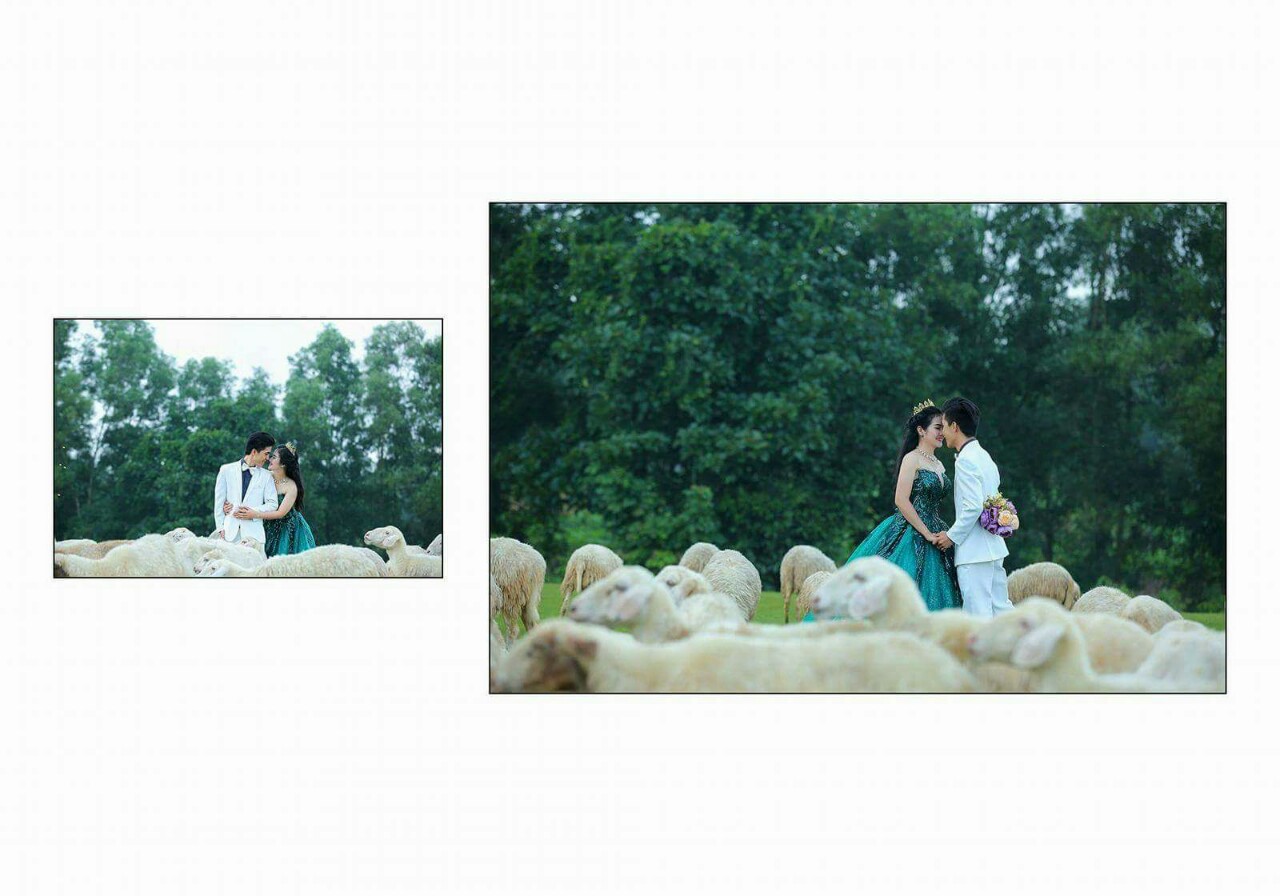 Nhận chụp hình - Hình Album - Quay phim theo yêu cầu